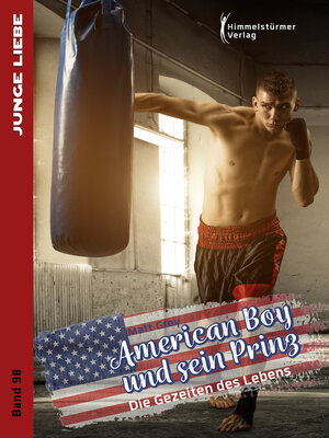 cover image of American Boy und sein Prinz 3